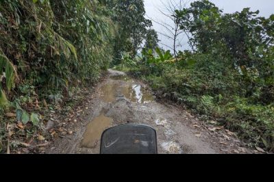 Moped: Indien Kashmir und westliches Himalaya Vorland - Bild5