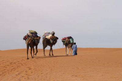 Abenteuer Marokko - Wandern in der Sahara - mit Nomaden durch die Wüste  - Bild5