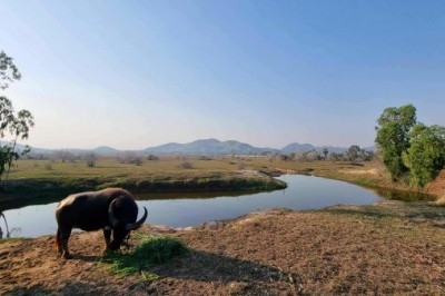 Exklusiver Thailand-Urlaub für wenig Geld und doch mit Luxus, abseits der Touristenpfade: Entdecke das Paradies mit mir - Bild3