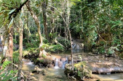 Backpacking Abenteuer Dez. 2024, 3-4 Wochen, Südostasien oder warm - Bild8