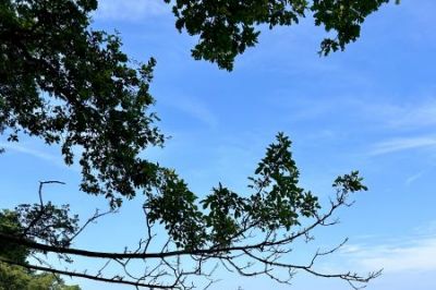 Den Herbst in Istrien genießen… - Bild3